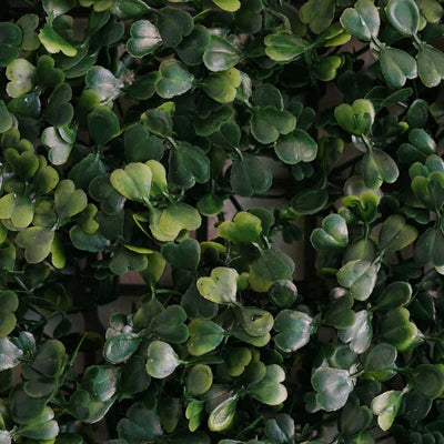 11 Sq ft. Dark Green Boxwood Hedge Garden Wall Backdrop Mat - 4 Artificial Panels - Linen Luxes