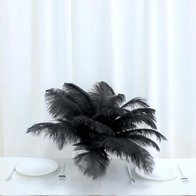 12 Pack 13" - 15" Black Natural Plume Real Ostrich Feathers, DIY Centerpiece Fillers - Linen Luxes