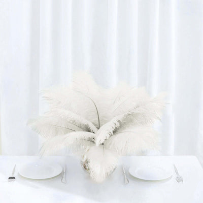 12 Pack 13" - 15" Ivory Natural Plume Real Ostrich Feathers, DIY Centerpiece Fillers - Linen Luxes