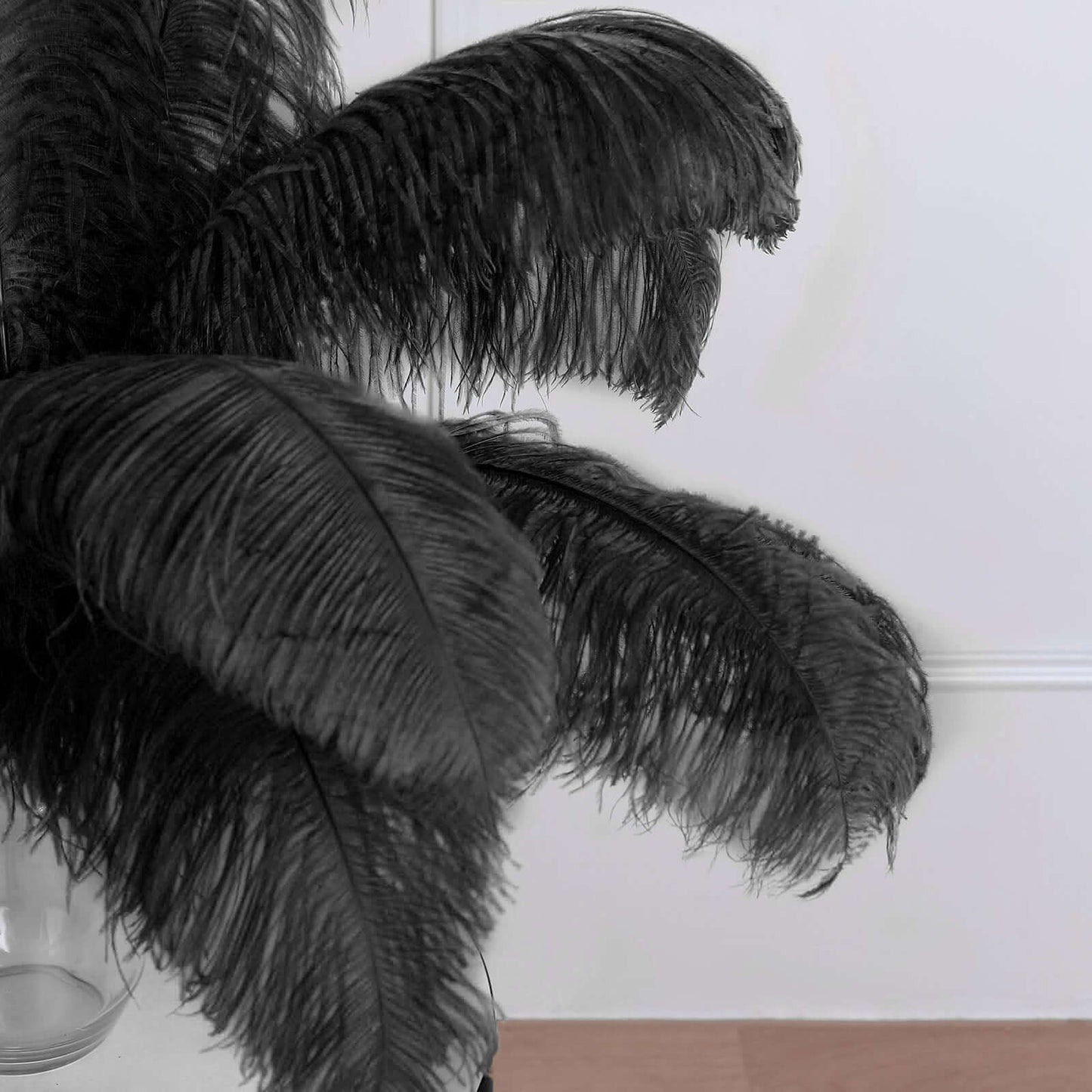 12 Pack Black Natural Plume Ostrich Feathers Centerpiece Filler - 24" - 26" - Linen Luxes