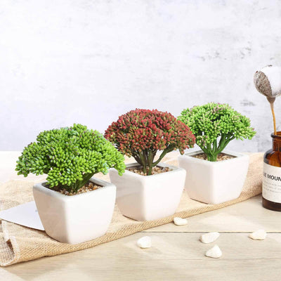 3 - Pack Joy Sedum Artificial Succulents in Ceramic Pots - Lifelike Decorative Faux Plants for Home Office & Event Design 6" - Linen Luxes