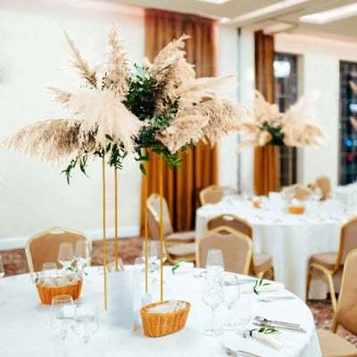 6 Stems Natural Dried Pampas Grass Decor Wheat Tint - Tall Plant Sprays for Boho Chic Vase Displays Backdrops & Event Styling 49"