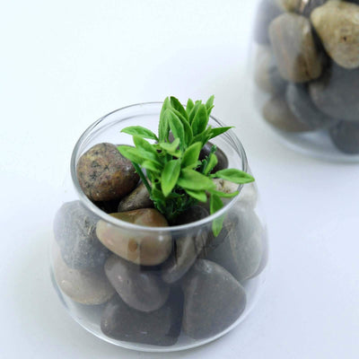 Polished Decorative Stones Natural Assorted Design - Ideal Vase Fillers, Landscaping, and Aquarium Use 2Lb - Linen Luxes