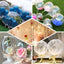 10 Pack 16" Clear Fully Transparent PVC Helium Air Bubble Balloons - Linen Luxes