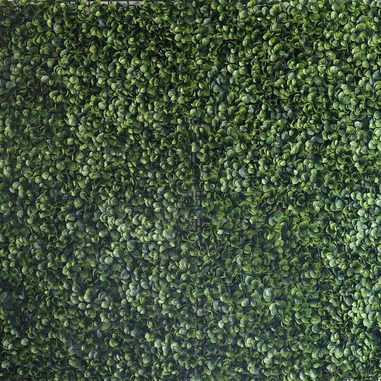 11 Sq ft. Green Boxwood Hedge Garden Wall Backdrop Mat - 4 Artificial Panels - Linen Luxes