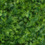 11 Sq ft. Green Boxwood Hedge Locust and Cypress Garden Wall Backdrop Mat - 4 Artificial Panels - Linen Luxes