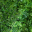 11 Sq ft. Green Boxwood Hedge Locust and Cypress Garden Wall Backdrop Mat - 4 Artificial Panels - Linen Luxes