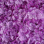 11 Sq ft. Purple UV Protected Hydrangea Flower Wall Mat Backdrop - 4 Artificial Panels - Linen Luxes