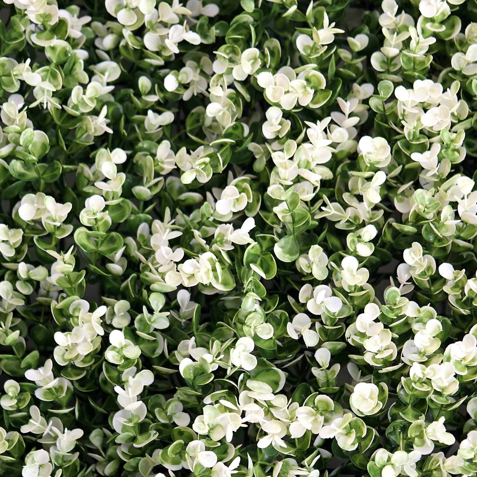 11 Sq ft. White Tip Green Boxwood Hedge Genlisea Garden Wall Backdrop Mat - 4 Artificial Panels - Linen Luxes