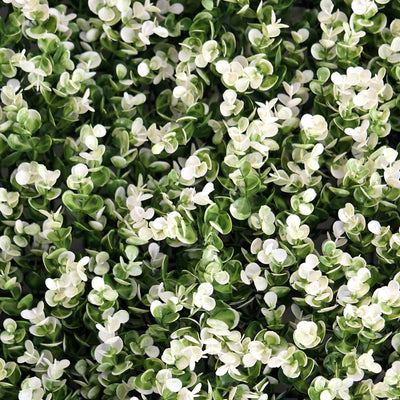 11 Sq ft. White Tip Green Boxwood Hedge Genlisea Garden Wall Backdrop Mat - 4 Artificial Panels - Linen Luxes
