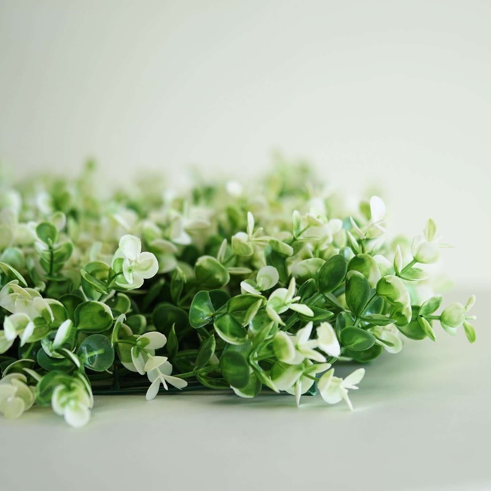 11 Sq ft. White Tip Green Boxwood Hedge Genlisea Garden Wall Backdrop Mat - 4 Artificial Panels - Linen Luxes