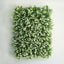 11 Sq ft. White Tip Green Boxwood Hedge Genlisea Garden Wall Backdrop Mat - 4 Artificial Panels - Linen Luxes