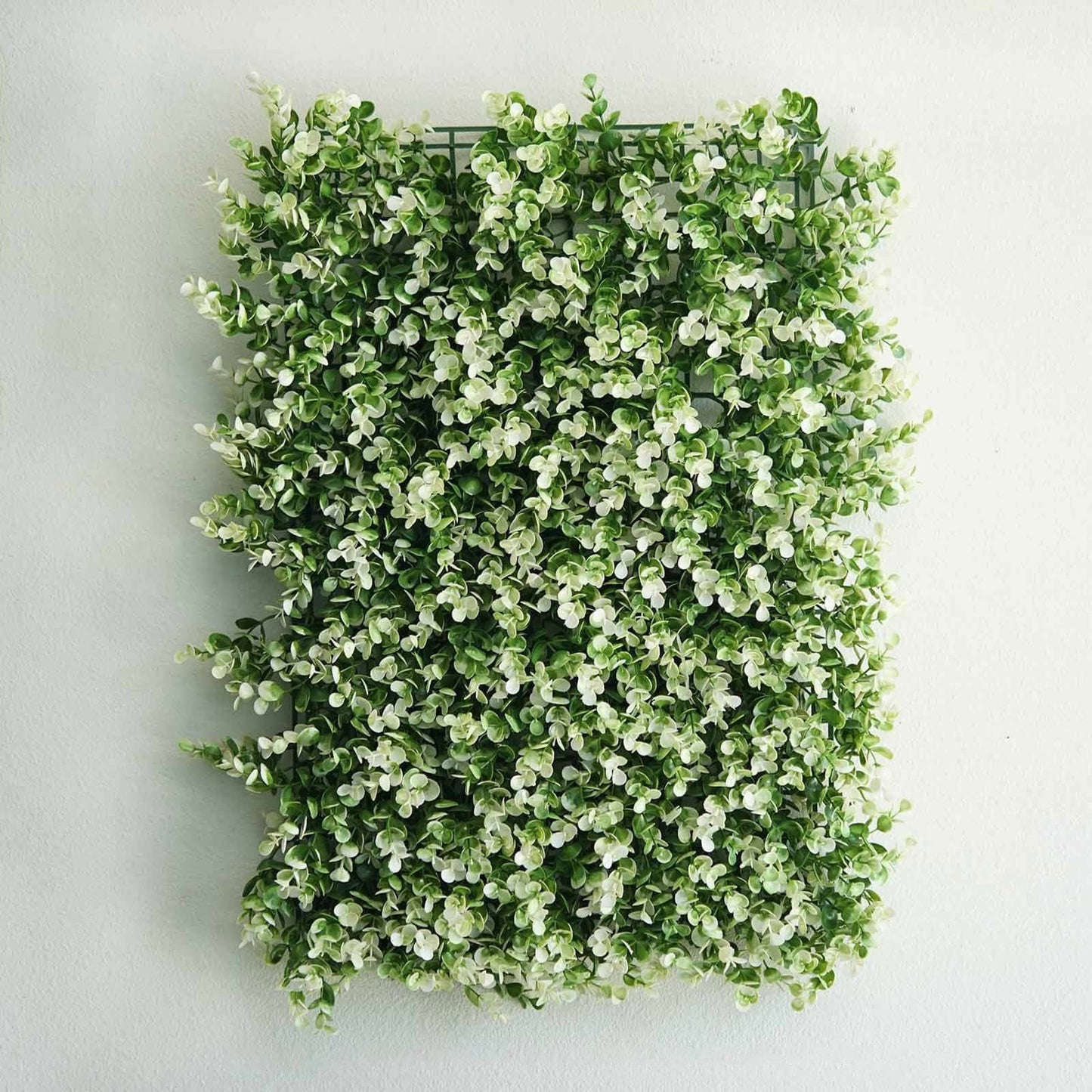 11 Sq ft. White Tip Green Boxwood Hedge Genlisea Garden Wall Backdrop Mat - 4 Artificial Panels - Linen Luxes