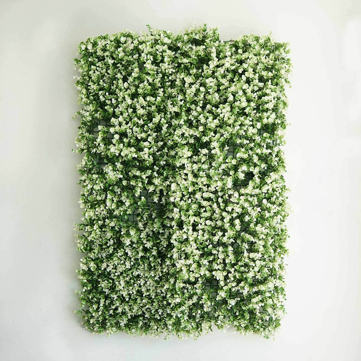 11 Sq ft. White Tip Green Boxwood Hedge Genlisea Garden Wall Backdrop Mat - 4 Artificial Panels - Linen Luxes