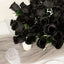 12 Bushes Black Artificial Premium Silk Flower Rose Bud Bouquets - Linen Luxes
