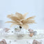 12 Pack 13"-15" Beige Natural Plume Real Ostrich Feathers, DIY Centerpiece Fillers