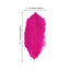 12 Pack 13" - 15" Fuchsia Natural Plume Real Ostrich Feathers, DIY Centerpiece Fillers - Linen Luxes
