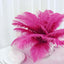 12 Pack 13" - 15" Fuchsia Natural Plume Real Ostrich Feathers, DIY Centerpiece Fillers - Linen Luxes