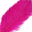 12 Pack 13" - 15" Fuchsia Natural Plume Real Ostrich Feathers, DIY Centerpiece Fillers - Linen Luxes