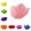 12 Pack 13" - 15" Fuchsia Natural Plume Real Ostrich Feathers, DIY Centerpiece Fillers - Linen Luxes