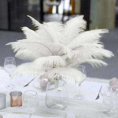 12 Pack 13" - 15" Ivory Natural Plume Real Ostrich Feathers, DIY Centerpiece Fillers - Linen Luxes