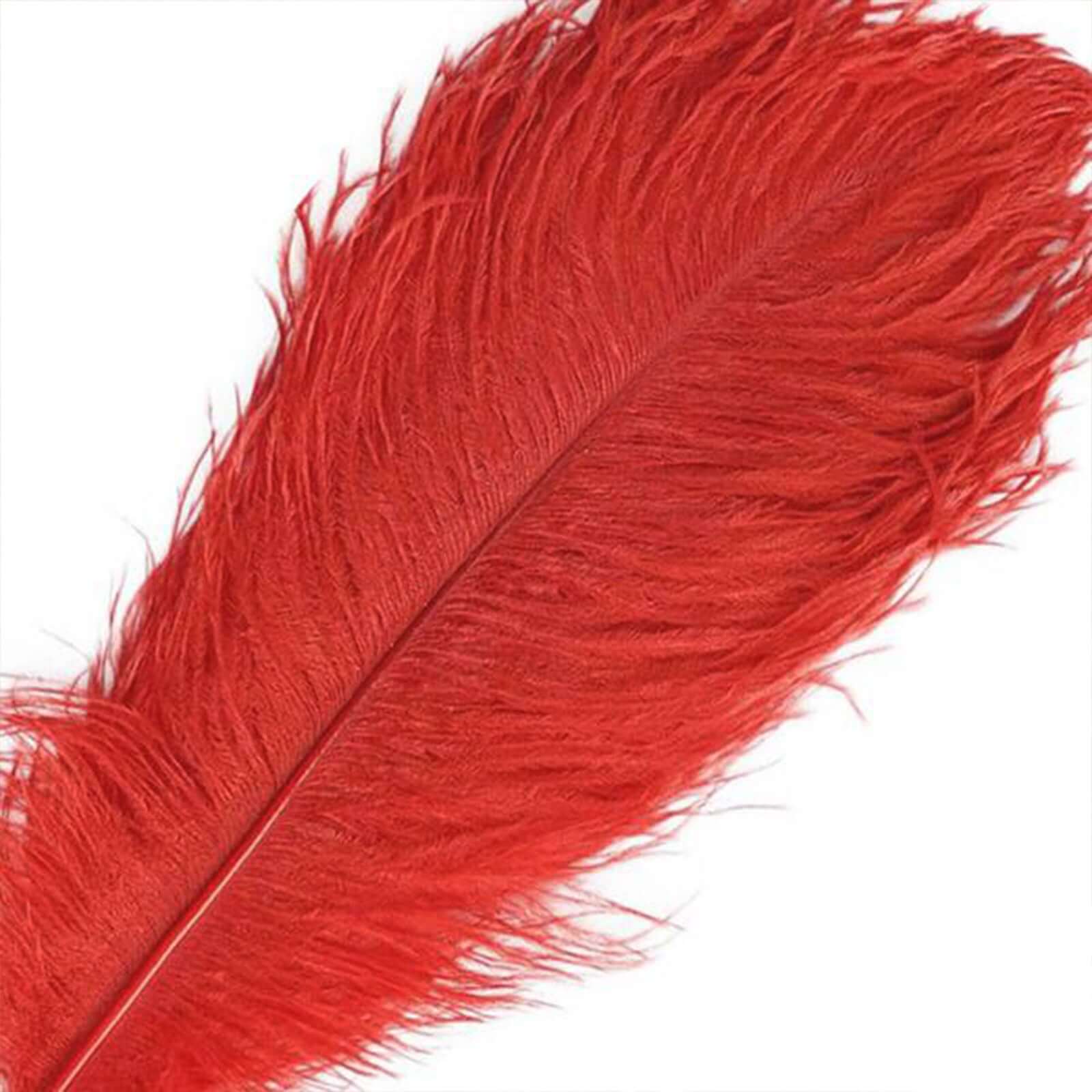 12 Pack 13" - 15" Red Natural Plume Real Ostrich Feathers, DIY Centerpiece Fillers - Linen Luxes