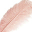 12 Pack 13" - 15" Rose Gold Natural Plume Real Ostrich Feathers, DIY Centerpiece Fillers - Linen Luxes