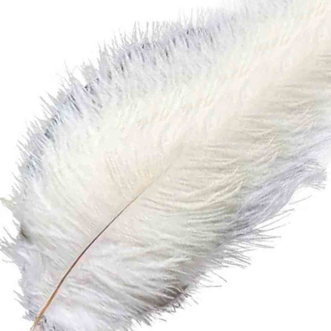 12 Pack 13" - 15" White Natural Plume Real Ostrich Feathers, DIY Centerpiece Fillers - Linen Luxes