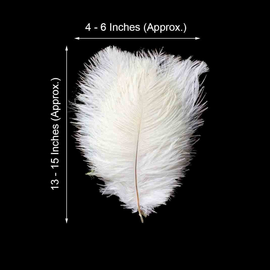 12 Pack 13" - 15" White Natural Plume Real Ostrich Feathers, DIY Centerpiece Fillers - Linen Luxes