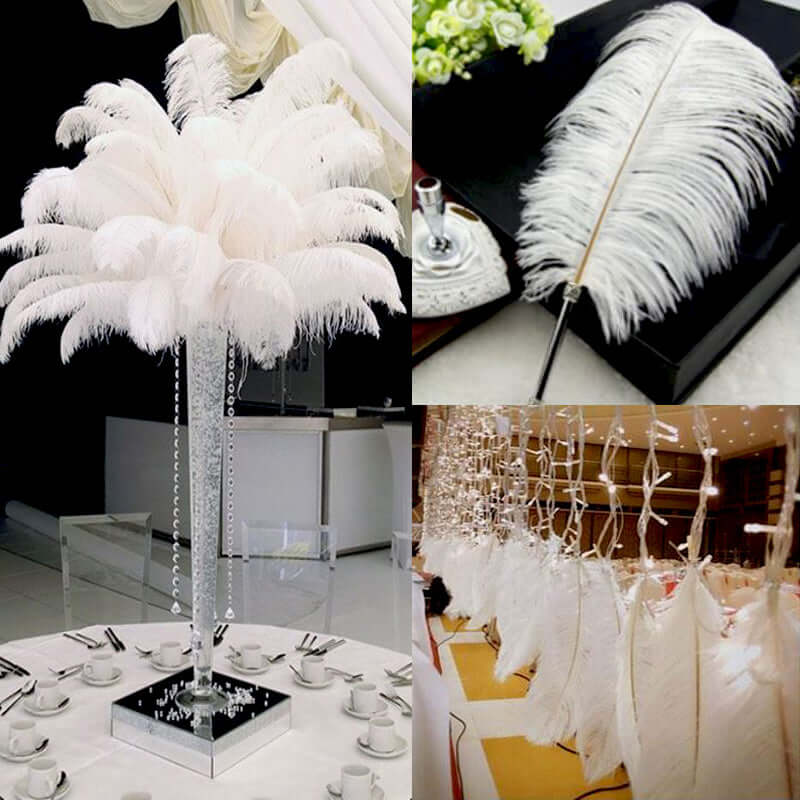 12 Pack 13" - 15" White Natural Plume Real Ostrich Feathers, DIY Centerpiece Fillers - Linen Luxes