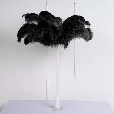 12 Pack Black Natural Plume Ostrich Feathers Centerpiece Filler - 24" - 26" - Linen Luxes