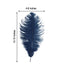 12 Pack 13"-15" Navy Blue Natural Plume Real Ostrich Feathers, DIY Centerpiece Fillers