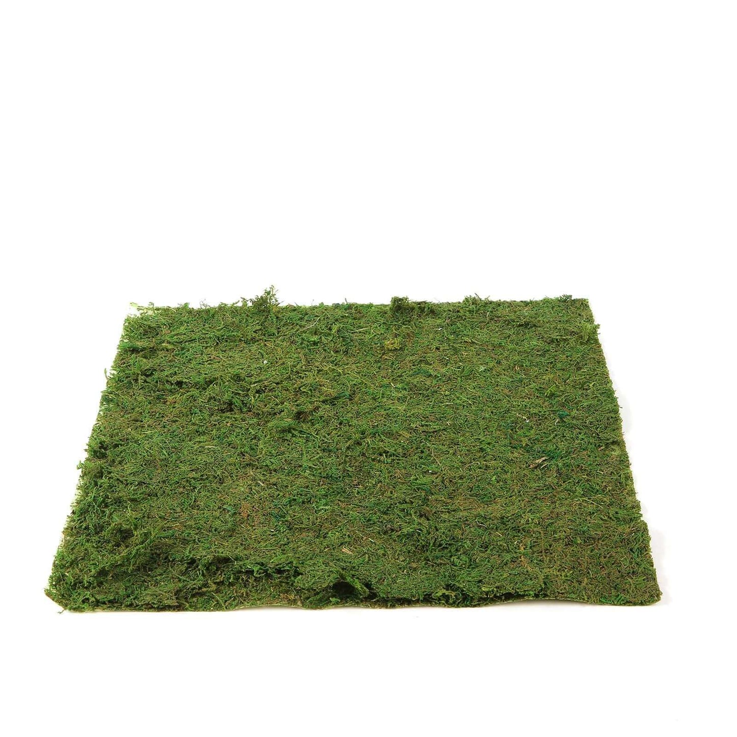 18"x16" Preserved Natural Moss Wall Sheet Roll, Moss Landscape Panel - Linen Luxes