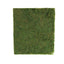 18"x16" Preserved Natural Moss Wall Sheet Roll, Moss Landscape Panel - Linen Luxes