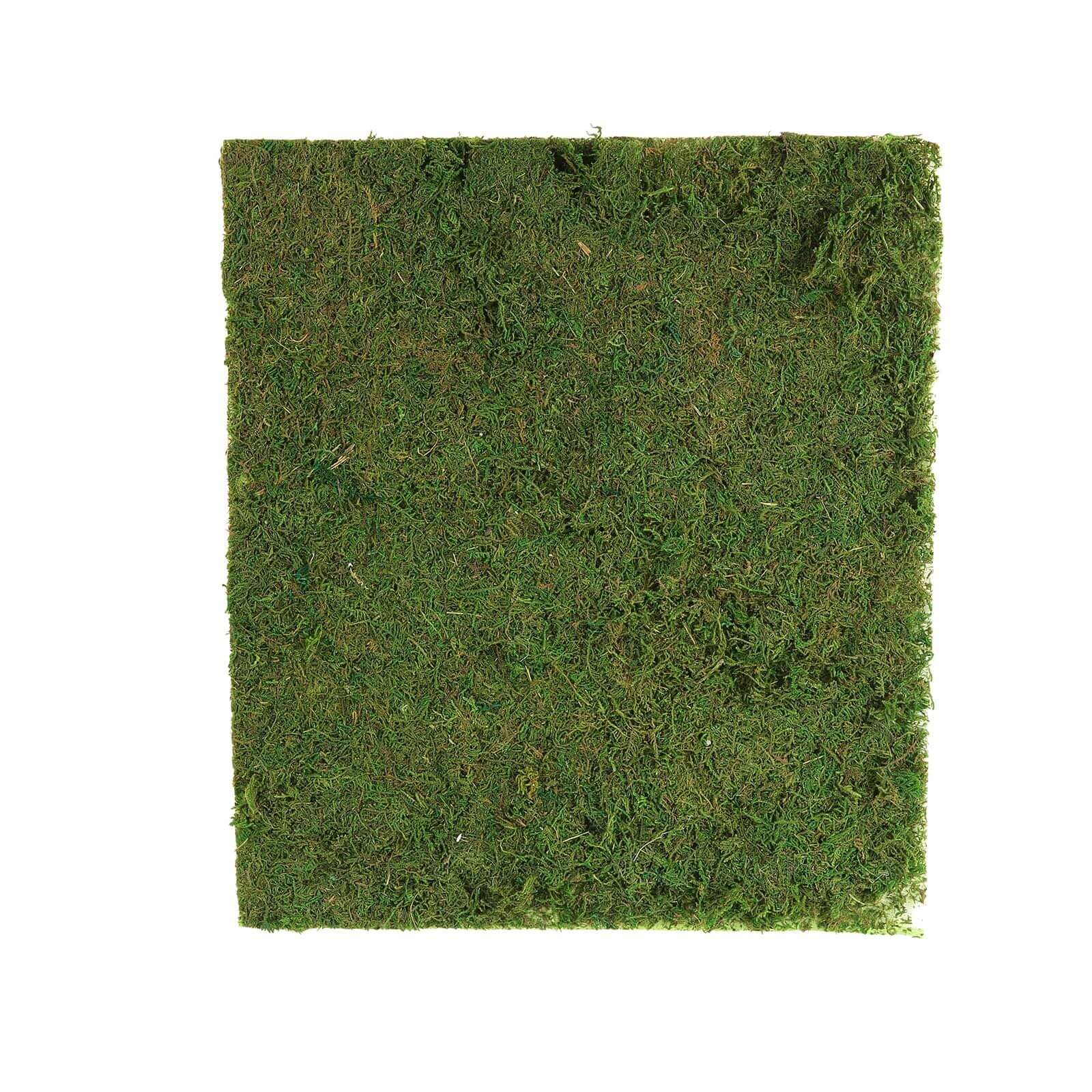 18"x16" Preserved Natural Moss Wall Sheet Roll, Moss Landscape Panel - Linen Luxes
