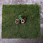 18"x16" Preserved Natural Moss Wall Sheet Roll, Moss Landscape Panel - Linen Luxes