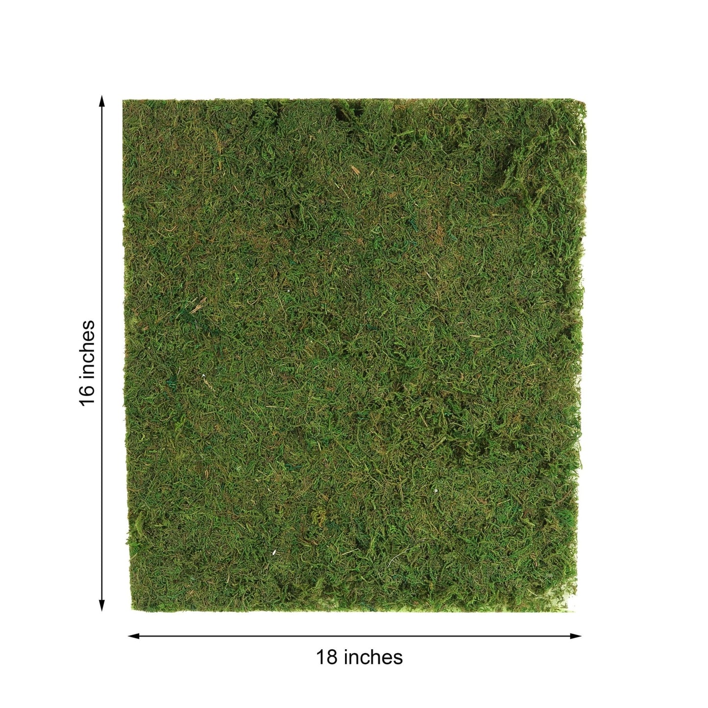18"x16" Preserved Natural Moss Wall Sheet Roll, Moss Landscape Panel - Linen Luxes