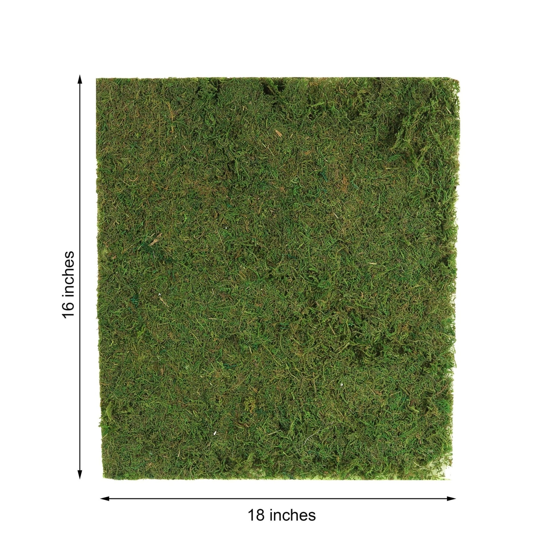 18"x16" Preserved Natural Moss Wall Sheet Roll, Moss Landscape Panel - Linen Luxes