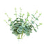 2 Bushes 19" Frosted Green Artificial Eucalyptus Branch Bouquet Plants - Linen Luxes