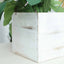 2 Pack 6" Whitewash Square Wood Planter Box Set With Removable Plastic Liners - Linen Luxes