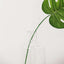 2 - Pack Glass Bud Vases Tapered Neck Design Clear - Stylish Floral Table Centerpieces 12" - Linen Luxes