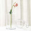 2 - Pack Glass Bud Vases Tapered Neck Design Clear - Stylish Floral Table Centerpieces 12" - Linen Luxes