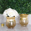 2 - Pack Glass Hurricane Vases Bell Shaped Crackle Gold Curvy Design - Decorative Candle Holder Centerpieces 6" - Linen Luxes