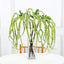 2 Pack Green Artificial Amaranthus Flower Stem Spray and Ivy Leaves 32" - Linen Luxes