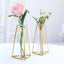 2 - Pack Mini Wedding Centerpieces Gold Metal Frame Triangular Geometric Design - Test Tube Bud Vases 6" - Linen Luxes