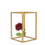 2 - Pack Wedding Flower Stand Gold Metal Geometric Column Frame Rectangular - Versatile Floral Pedestal for Sophisticated Arrangements 12" - Linen Luxes