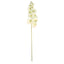 2 Stems 40" Tall Cream Artificial Silk Orchid Flower Bouquets - Linen Luxes