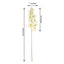 2 Stems 40" Tall Cream Artificial Silk Orchid Flower Bouquets - Linen Luxes