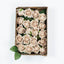 24 Roses 2" Champagne Artificial Foam Flowers With Stem Wire and Leaves - Linen Luxes