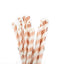 25 - Pack Paper Straws White/Rose Gold Striped - Stylish Disposable Straws for Drinks 8" - Linen Luxes